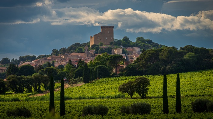 cépages chateauneuf du pape