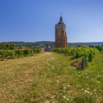 Le domaine de Montbourgeau | La belle Étoile du Jura