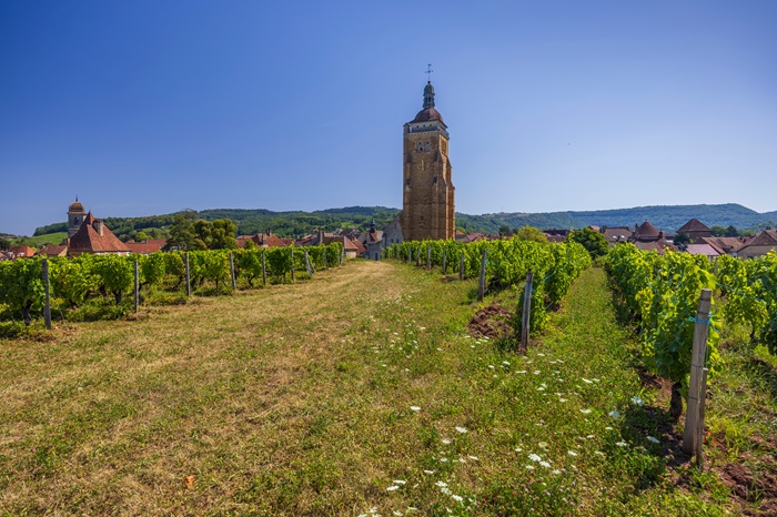 Image du village d'Arbois - Jura - iDealwine