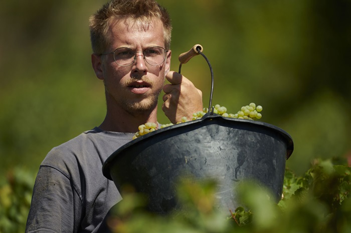 Olivier Merlin domaine Maconnais iDealwine Paul Théo