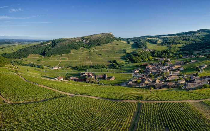 Olivier Merlin domaine Maconnais iDealwine vignes