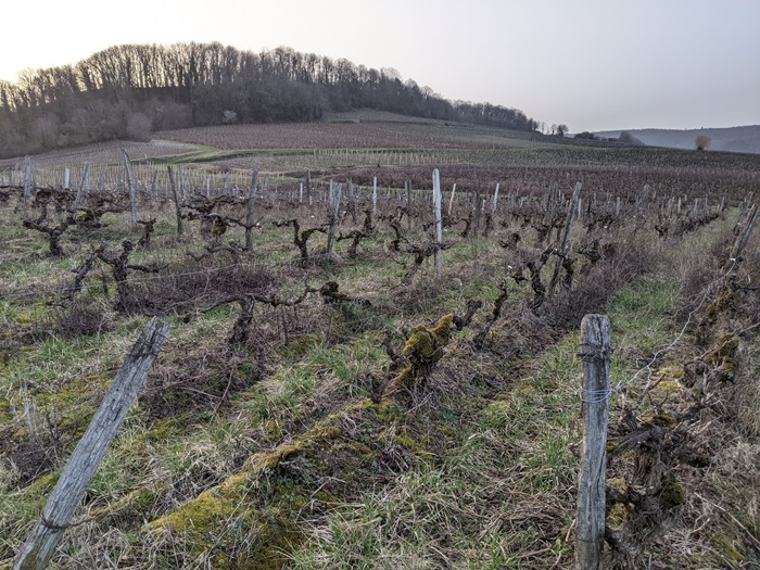 Vignes - Jura- iDealwine