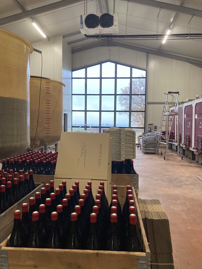 vinification foillard