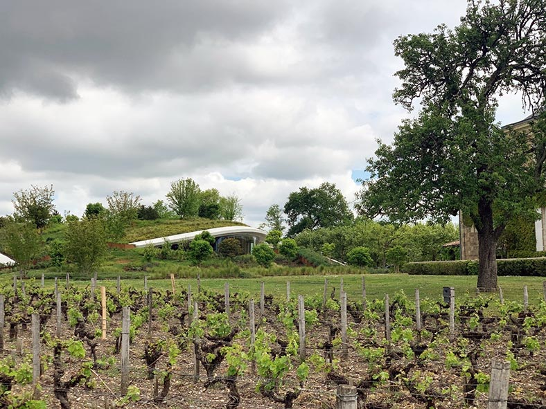 chai haut bailly