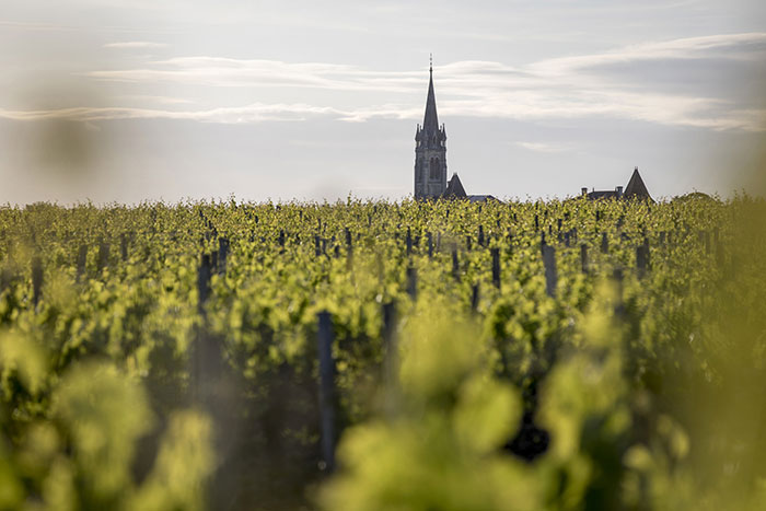 Chateau la conseillante vignoble