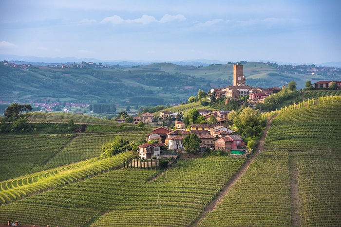 Barbaresco-vignes-italie-iDealwine