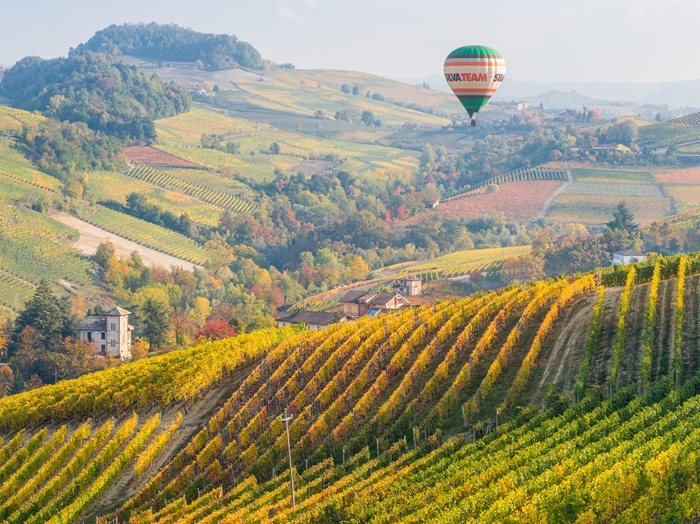 Barolo-vignes-piemont-iDealwine