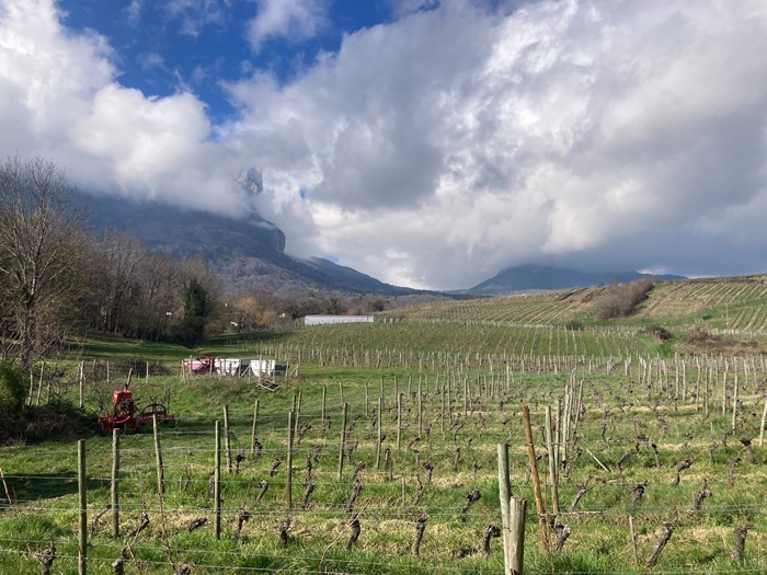 Le Mont Granier dans les nuages