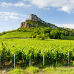 Rapport d’enchères février 2024 | Record : un vin du Mâconnais dépasse les 1 000€ !