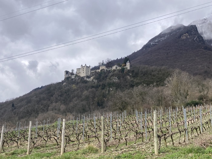 vignes domaine des Ardoisières