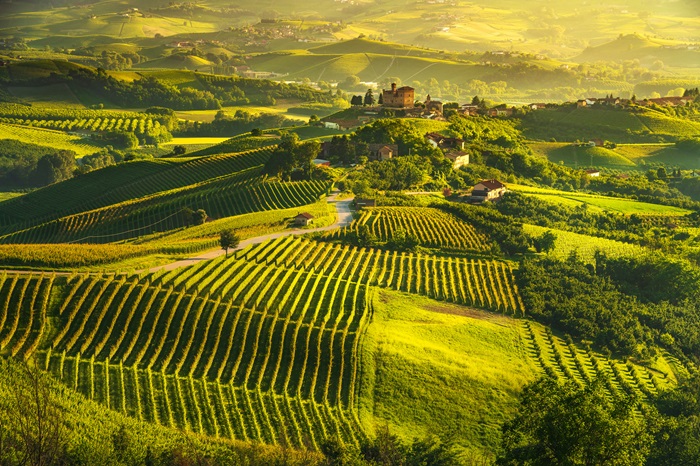 Vignoble Langhe Piémont iDealwine