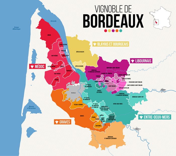 vignoble bordeaux