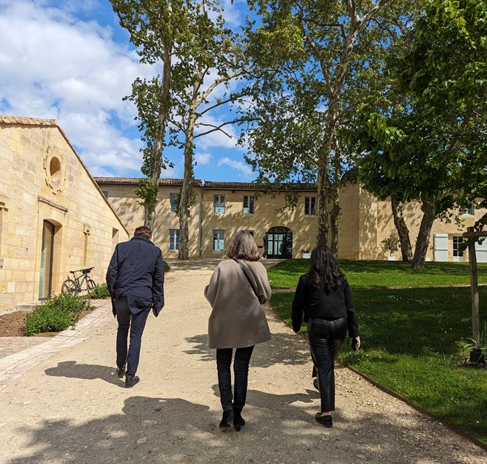 Ambre Angélique et Raphaël Primeurs 2024