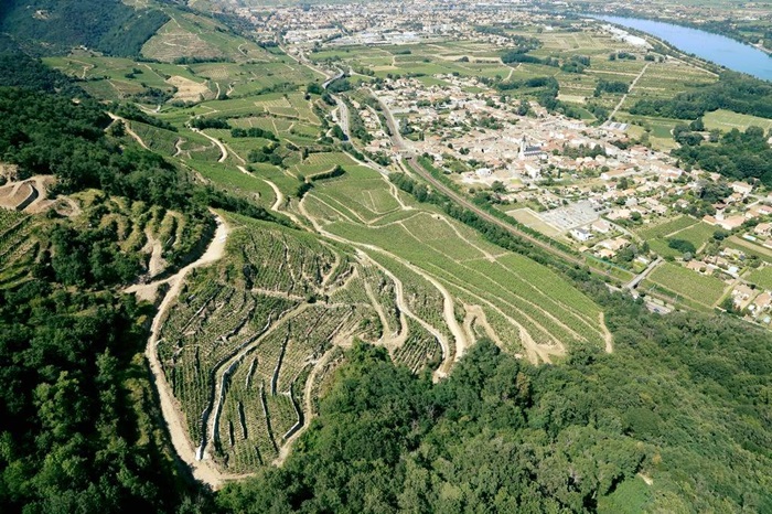 Les-vignes-de-Mauves-Domaine-Coursodon-Saint-Joseph