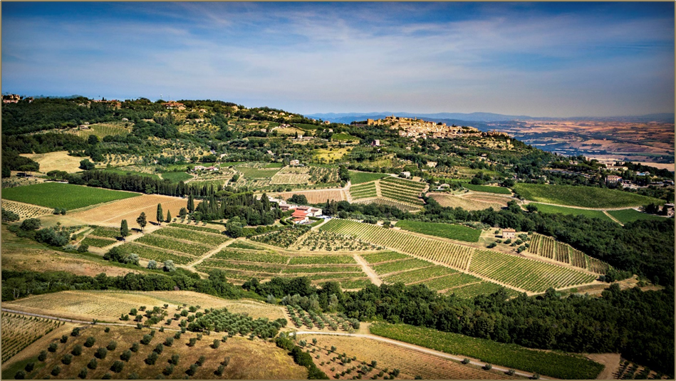 Tenuta Greppo vignes © Biondi Santi