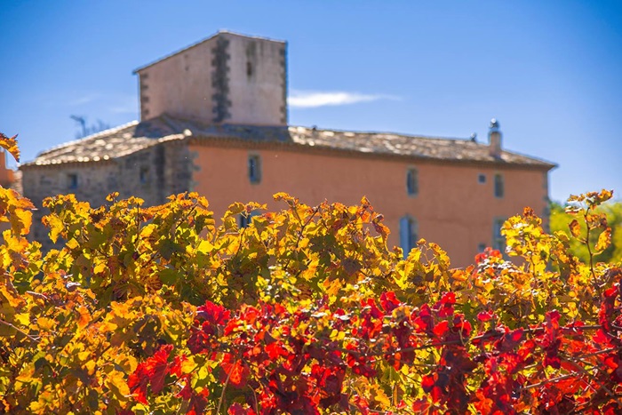 La vigne et le prieuré saint jean de bébian - iDealwine La vigne et le prieuré saint jean de bébian - iDealwine