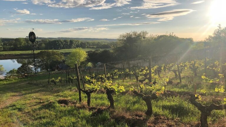 Lire la suite à propos de l’article Auction report : le domaine Charles Joguet à l’honneur en avril