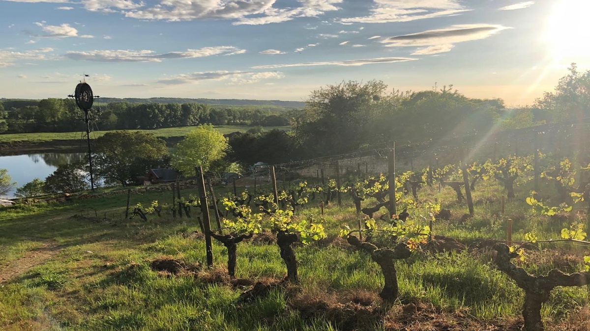 Lire la suite à propos de l’article Auction report : le domaine Charles Joguet à l’honneur en avril