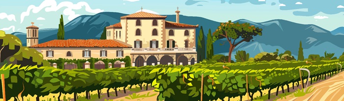 Millésime 2017 Italie