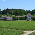 Primeurs 2023 | Pessac-Léognan : analyse du millésime et coups de cœur