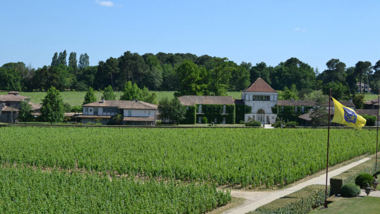 Lire la suite à propos de l’article Primeurs 2023 | Pessac-Léognan : analyse du millésime et coups de cœur