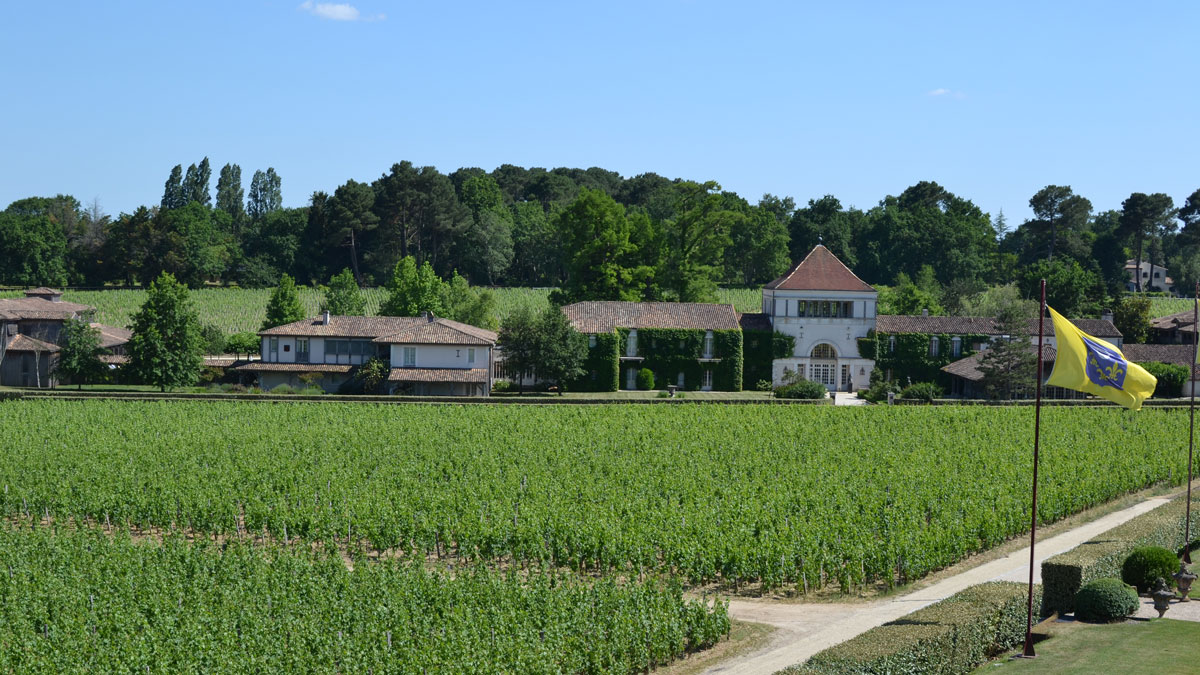 Lire la suite à propos de l’article Primeurs 2023 | Pessac-Léognan : analyse du millésime et coups de cœur
