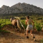 Domaine du Clos des Fées | Des vins magiques au cœur du Roussillon