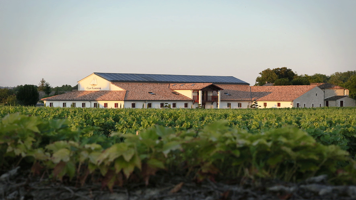 Lire la suite à propos de l’article Clos Floridène : un joyau des Graves