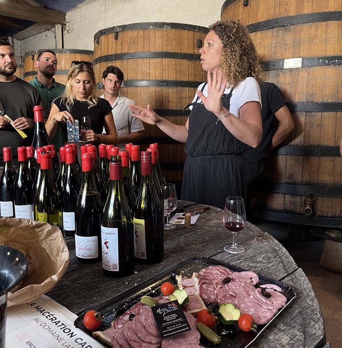 domaine marcel lapierre