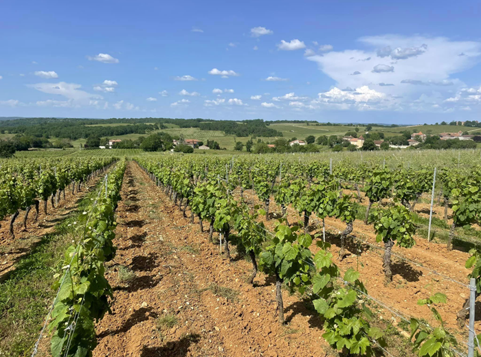 Parcelles de combel la serre à Cahors Parcelles de combel la serre à Cahors