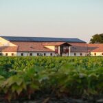 Clos Floridène : un joyau des Graves