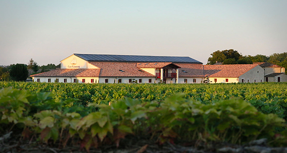 Clos-Floridene vigne