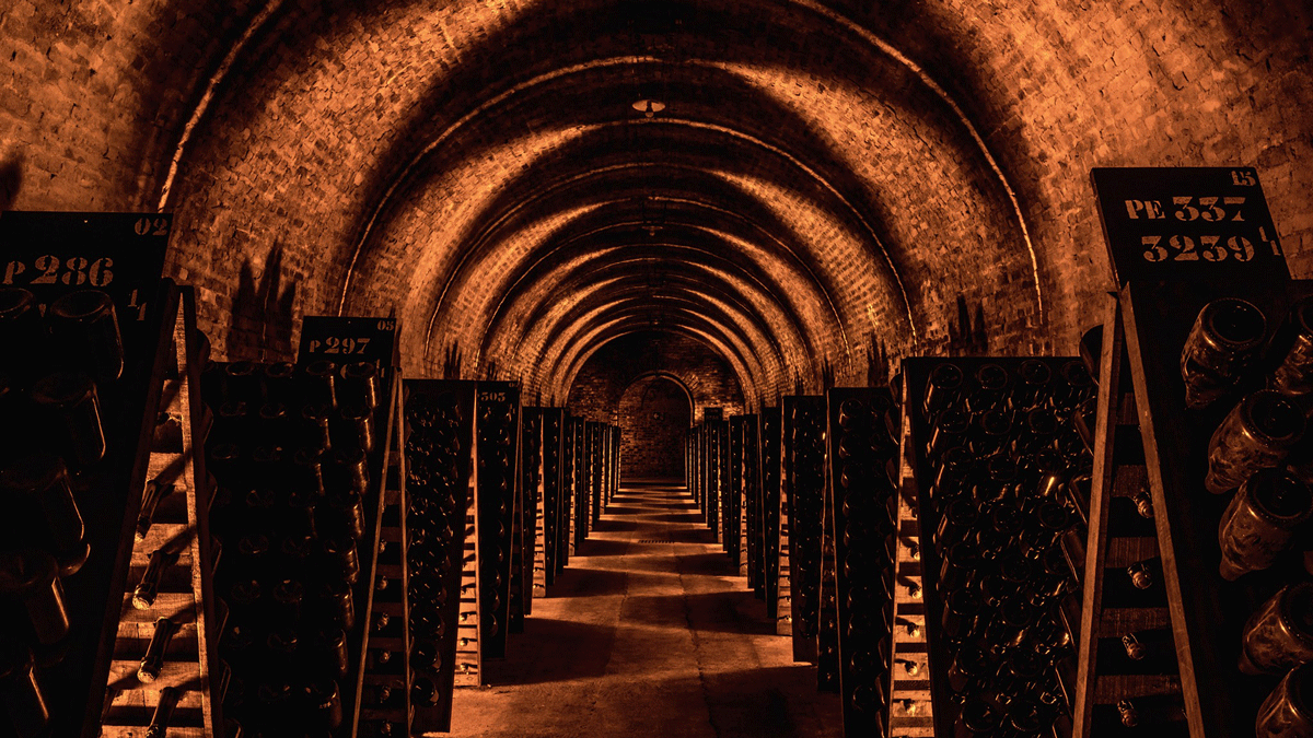 Lire la suite à propos de l’article Champagne Ayala : élégance et innovation depuis 1860