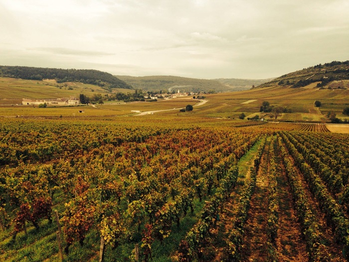 Domaine Ami Paul Perarnau et Willy Roulendes Moulin aux Moines Auxey Duresses