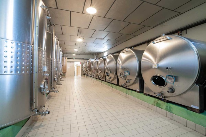 vinification verget cuve inox