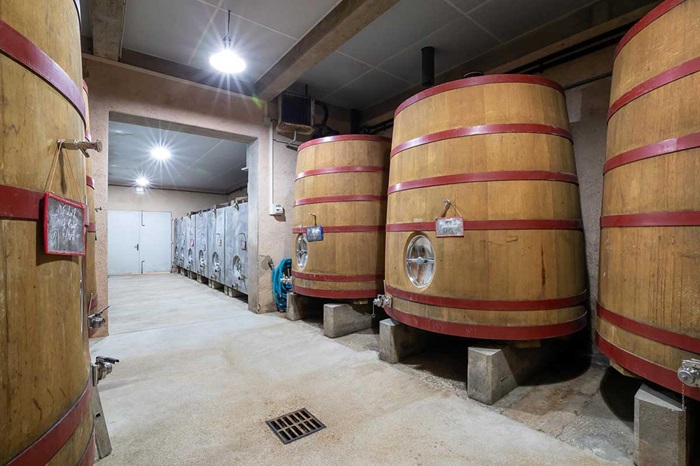 vinification verget foudre
