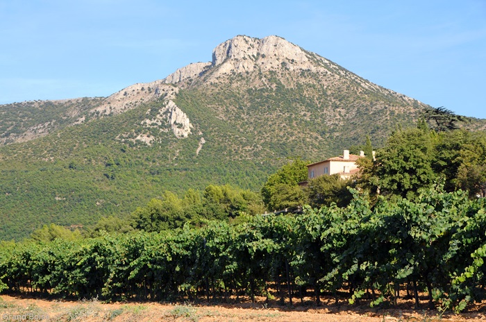 Château Grand Boise Provence
