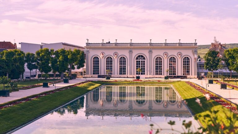 Lire la suite à propos de l’article Moët & Chandon : un véritable empire en Champagne