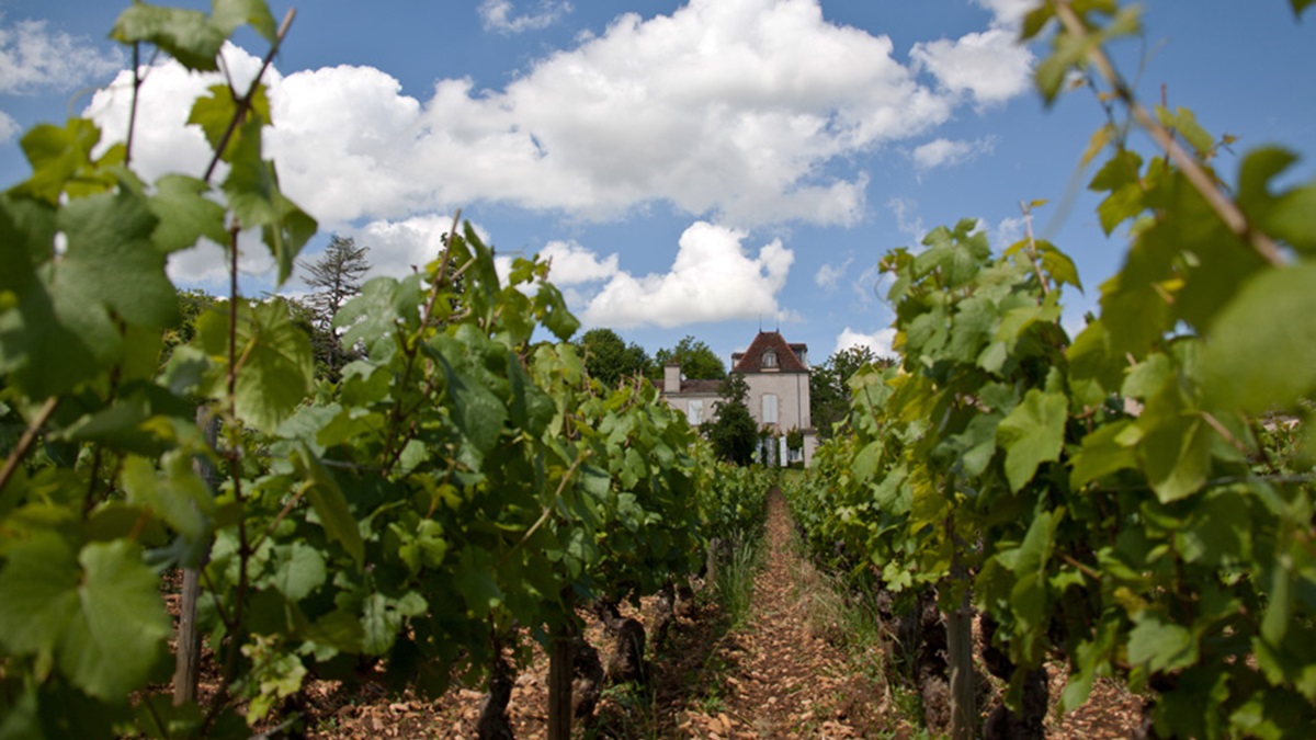 Lire la suite à propos de l’article Quand le domaine Comte Senard fait rougir la colline de Corton