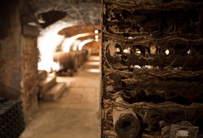 Comte Senard cave