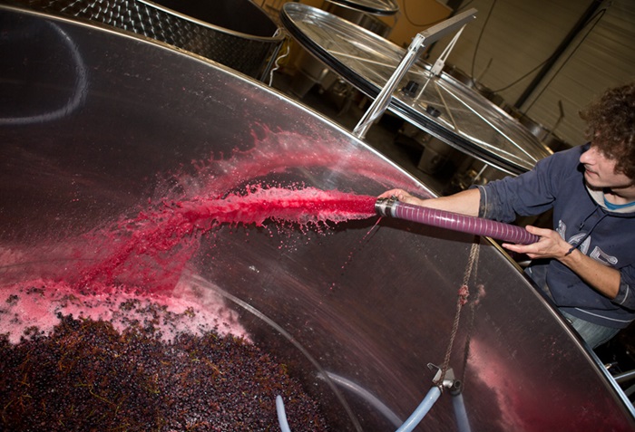 Comte Senard vinification rouge