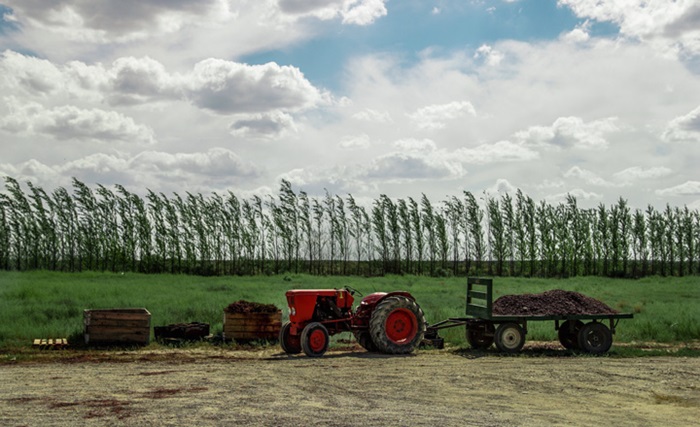 Vignes-Bodega-Chacra-iDealwine-vin-argentin