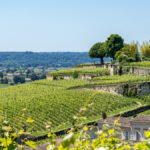Faut-il acheter les vins de Bordeaux 2021 ?