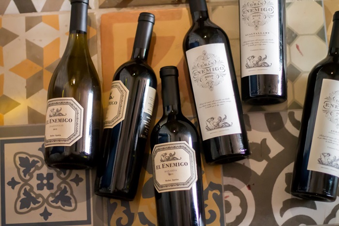 vin el enemigo
el enemigo
meilleur vin argentin
région mendoza vin