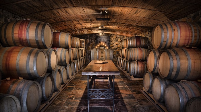 vin el enemigo
el enemigo
meilleur vin argentin
oenotourisme argentine
région mendoza vin
