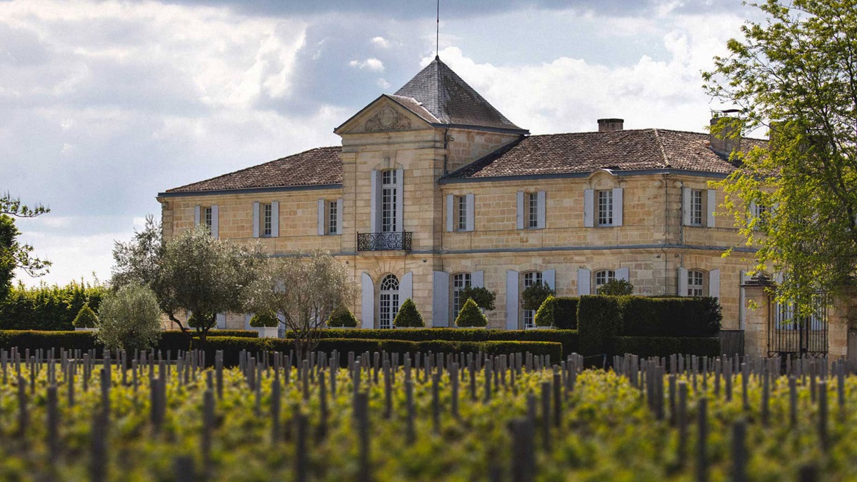 Lire la suite à propos de l’article Château du Tertre : le renouveau d’un grand cru classé de Margaux