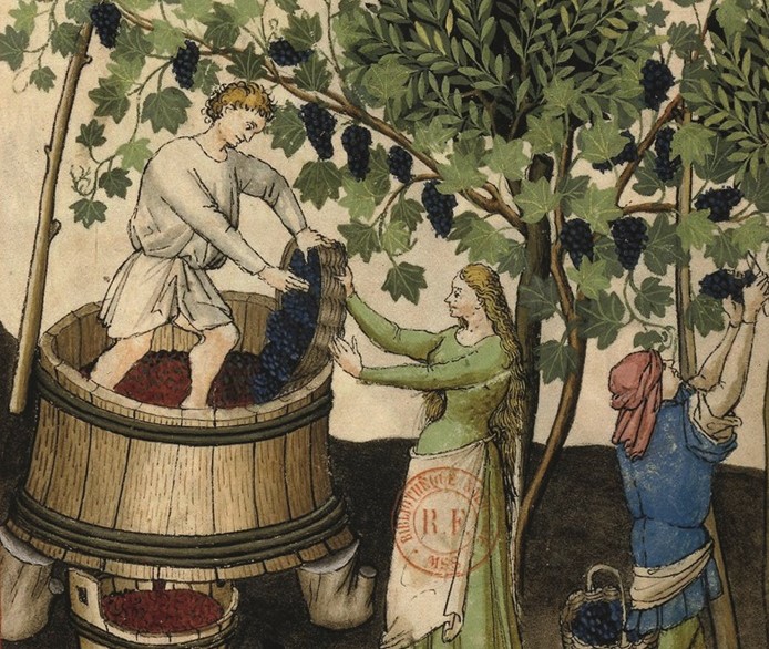 vendanges moyen age