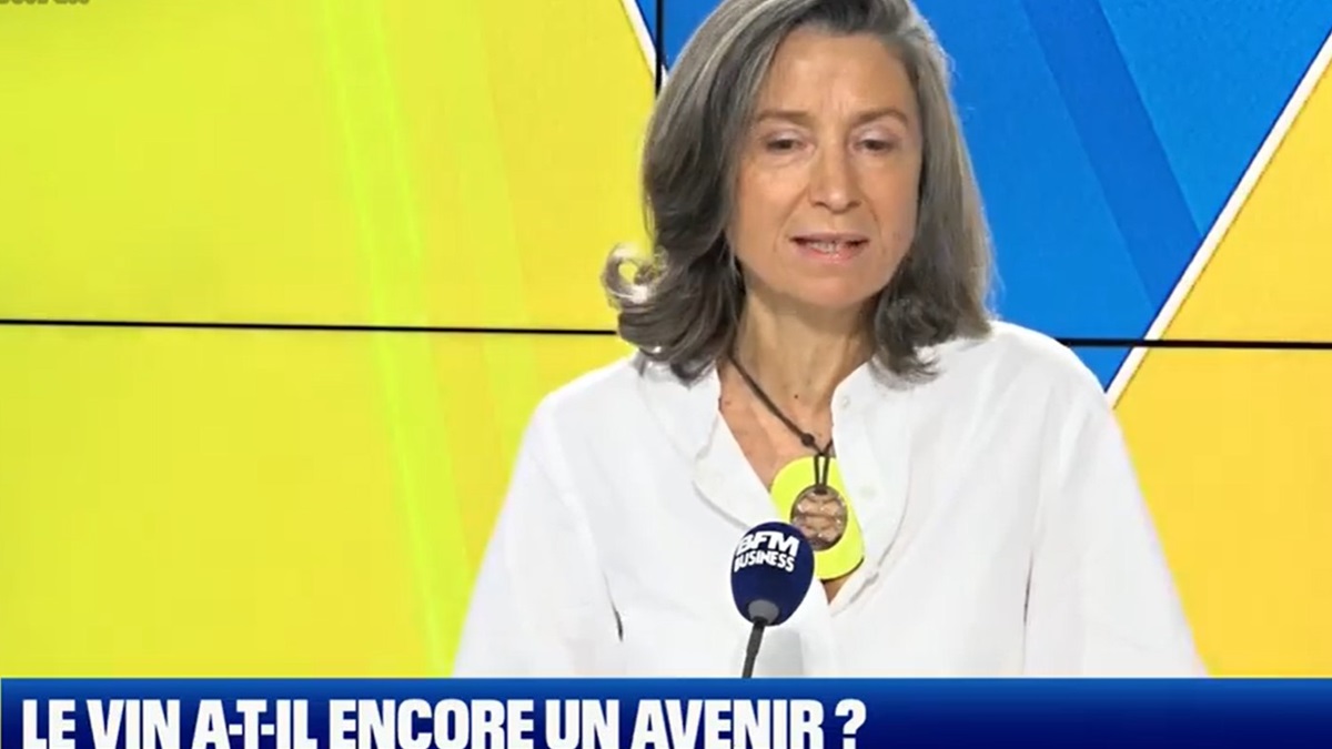Lire la suite à propos de l’article Interview BFM | Le vin a-t-il encore un avenir ?
