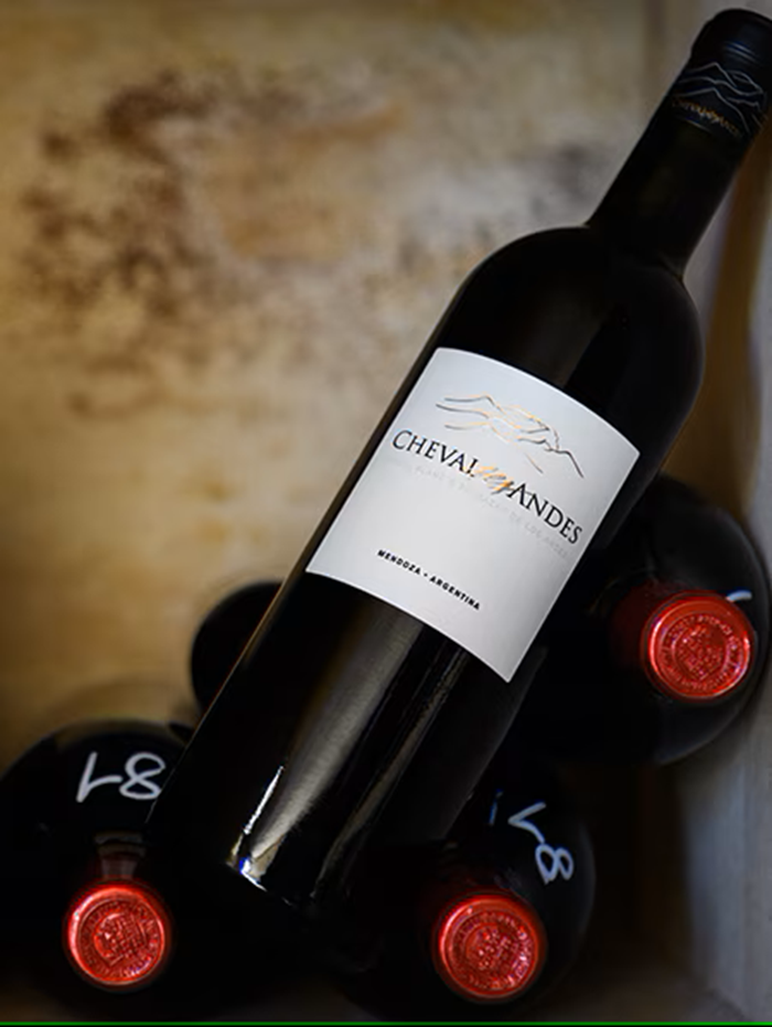 Cheval des Andes vin