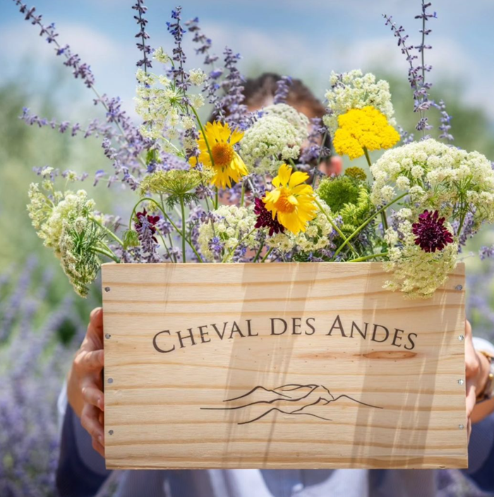 Grand Cru du nouveau monde